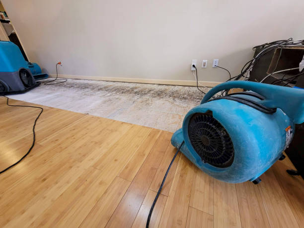 Professional Water Damage Repair technician working in Burnsville, MN